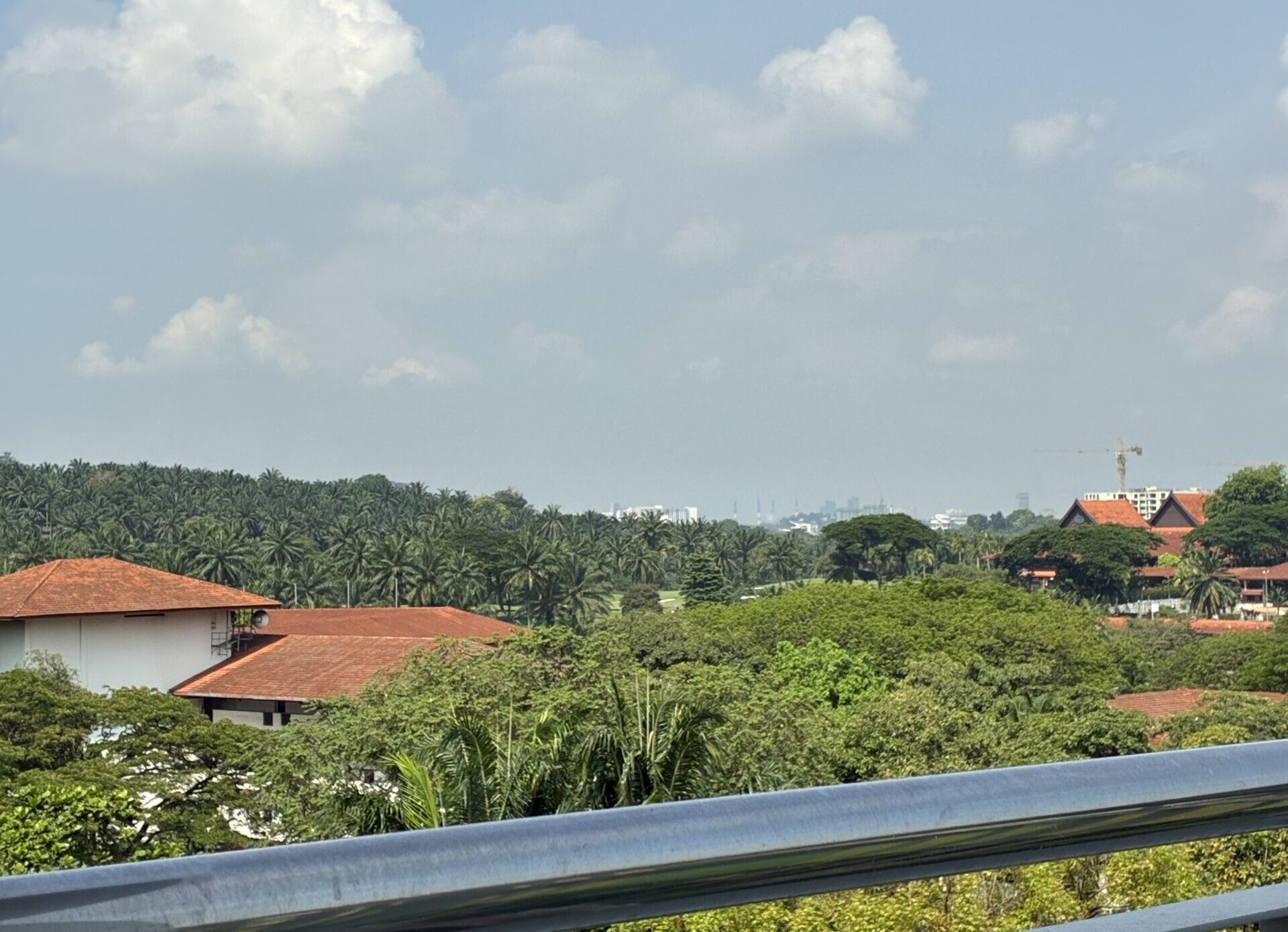 ️タマキについて