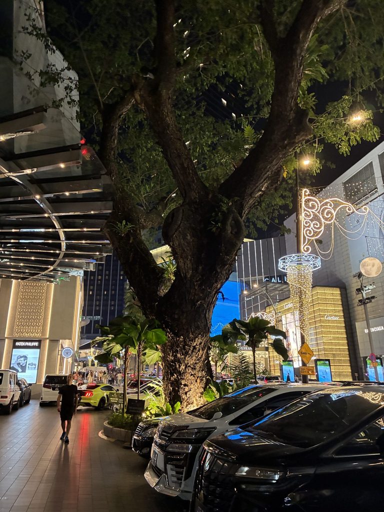 夜のブキビンタン